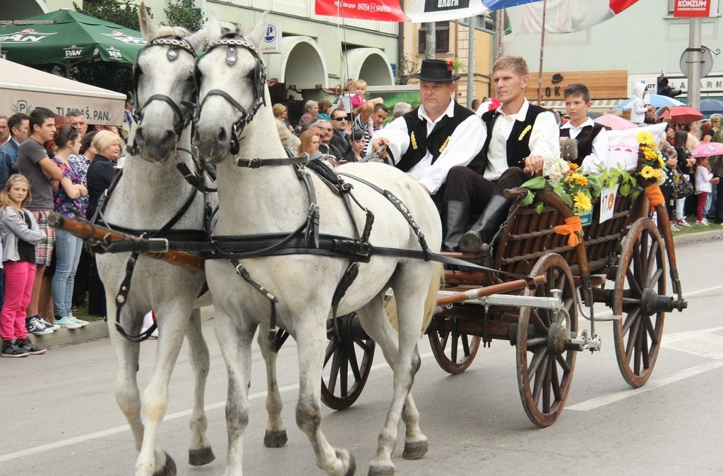 Konji su odgovornost i vlasnika i promatrača